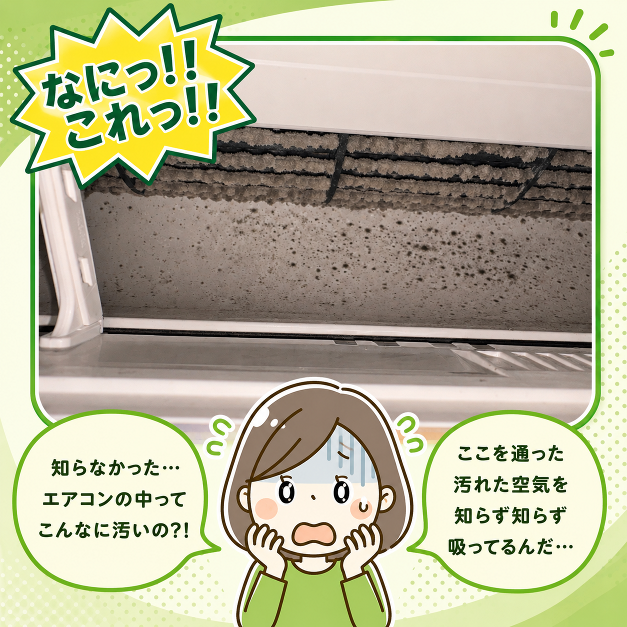 カビやホコリで汚れたエアコン内部